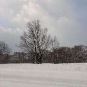 ヒメ日記 2026/01/20 08:46 投稿 川村かすみ ABC 岩手ソープ