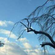 ヒメ日記 2026/01/25 08:16 投稿 川村かすみ ABC 岩手ソープ