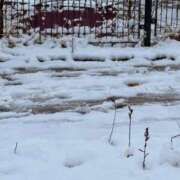 ヒメ日記 2026/03/04 08:01 投稿 川村かすみ ABC 岩手ソープ