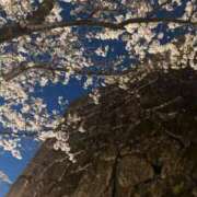 ヒメ日記 2026/04/20 18:16 投稿 川村かすみ ABC 岩手ソープ