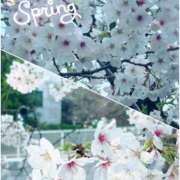 ヒメ日記 2025/04/16 22:30 投稿 あいる 奥鉄オクテツ東京店（デリヘル市場）