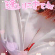 ヒメ日記 2025/03/28 15:36 投稿 ひなか 鎌倉御殿 新館