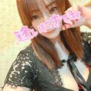 ヒメ日記 2025/04/12 16:51 投稿 ひなか 鎌倉御殿 新館