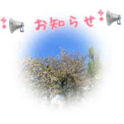 ヒメ日記 2025/04/15 22:48 投稿 ひなか 鎌倉御殿 新館