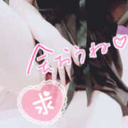 ヒメ日記 2025/07/01 21:18 投稿 ひなか 鎌倉御殿 新館