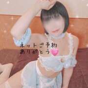 ヒメ日記 2025/06/13 08:43 投稿 せり 池袋角海老