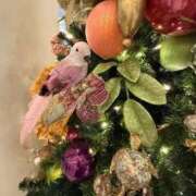 ヒメ日記 2025/11/29 13:03 投稿 せり 池袋角海老