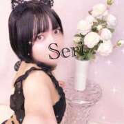 ヒメ日記 2025/12/27 09:43 投稿 せり 池袋角海老