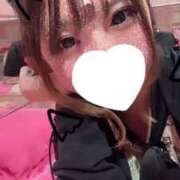 ヒメ日記 2025/02/09 09:02 投稿 のん マリン土浦本店