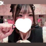 ヒメ日記 2025/02/18 11:31 投稿 のん マリン土浦本店