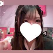 ヒメ日記 2025/02/26 14:12 投稿 のん マリン土浦本店