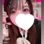 ヒメ日記 2025/03/13 16:50 投稿 のん マリン土浦本店