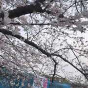 ヒメ日記 2025/04/26 15:31 投稿 のん マリン土浦本店