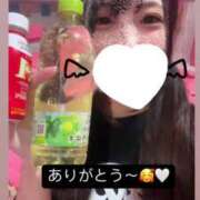 ヒメ日記 2025/05/07 12:23 投稿 のん マリン土浦本店