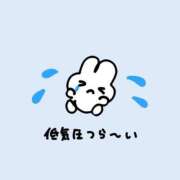 ヒメ日記 2025/06/05 17:51 投稿 のん マリン土浦本店