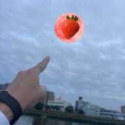 ヒメ日記 2025/06/11 19:51 投稿 のん マリン土浦本店