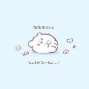 ヒメ日記 2025/06/14 10:02 投稿 のん マリン土浦本店