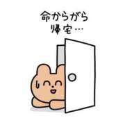 ヒメ日記 2025/06/21 20:28 投稿 のん マリン土浦本店