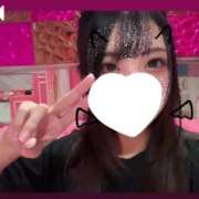 ヒメ日記 2025/06/22 10:02 投稿 のん マリン土浦本店