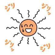 ヒメ日記 2025/06/22 11:02 投稿 のん マリン土浦本店