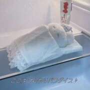 ヒメ日記 2025/06/22 23:11 投稿 のん マリン土浦本店