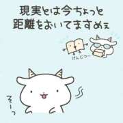 ヒメ日記 2025/06/25 09:21 投稿 のん マリン土浦本店