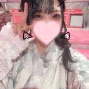 ヒメ日記 2025/07/15 11:05 投稿 のん マリン土浦本店