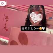 ヒメ日記 2025/07/26 11:02 投稿 のん マリン土浦本店