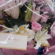 ヒメ日記 2025/07/31 12:36 投稿 のん マリン土浦本店