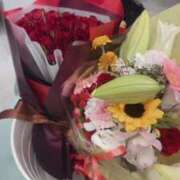 ヒメ日記 2025/07/31 13:02 投稿 のん マリン土浦本店