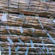 ヒメ日記 2025/07/28 15:55 投稿 みすず 性腺熟女100％（デリヘル市場）