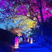 ヒメ日記 2025/12/15 22:56 投稿 夢乃【ゆめの】 丸妻 西船橋店