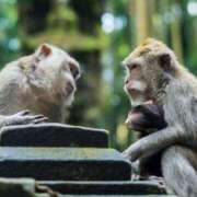 ヒメ日記 2025/09/16 16:00 投稿 める 出会い系人妻ネットワーク さいたま～大宮編