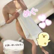 ヒメ日記 2025/08/28 12:07 投稿 紺野 めぐみ【常識を超えた淫乱】 秘書コレクション 高松店