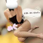 ヒメ日記 2025/10/14 12:44 投稿 紺野 めぐみ【常識を超えた淫乱】 秘書コレクション 高松店