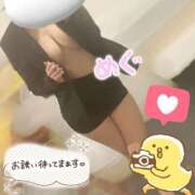 ヒメ日記 2025/11/13 14:44 投稿 紺野 めぐみ【常識を超えた淫乱】 秘書コレクション 高松店