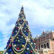 ヒメ日記 2024/12/08 12:49 投稿 あみ sweet kiss