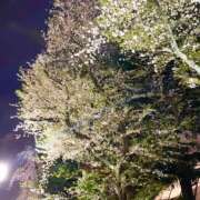 ヒメ日記 2025/03/24 14:39 投稿 あみ sweet kiss