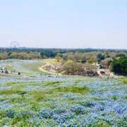 ヒメ日記 2025/04/19 22:49 投稿 あみ sweet kiss