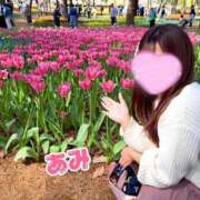 ヒメ日記 2025/04/23 12:49 投稿 あみ sweet kiss