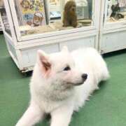 ヒメ日記 2025/05/19 13:49 投稿 あみ sweet kiss