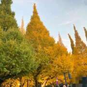 ヒメ日記 2025/11/24 20:19 投稿 あみ sweet kiss