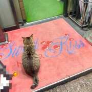 ヒメ日記 2026/02/16 19:49 投稿 あみ sweet kiss