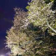 ヒメ日記 2026/03/30 20:29 投稿 あみ sweet kiss