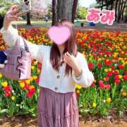 ヒメ日記 2026/04/16 20:09 投稿 あみ sweet kiss