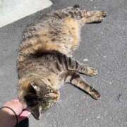 ヒメ日記 2026/06/06 11:09 投稿 あみ sweet kiss