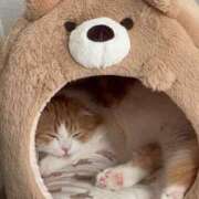 ヒメ日記 2025/02/22 10:27 投稿 如月　つむぎ 響-HIBIKI-