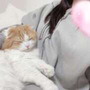 ヒメ日記 2025/04/15 23:15 投稿 如月　つむぎ 響-HIBIKI-