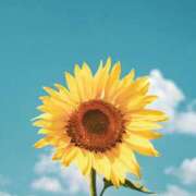 ヒメ日記 2025/07/31 10:15 投稿 如月　つむぎ 響-HIBIKI-