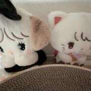 ヒメ日記 2025/10/04 10:00 投稿 如月　つむぎ 響-HIBIKI-